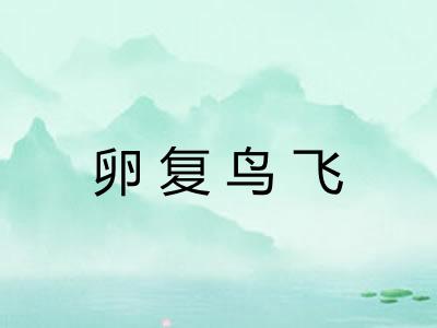卵复鸟飞