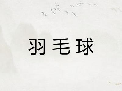 羽毛球