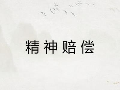 精神赔偿