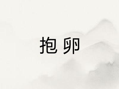 抱卵