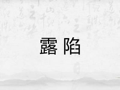 露陷