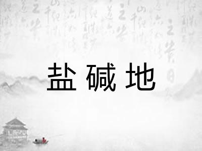 盐碱地