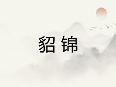 貂锦