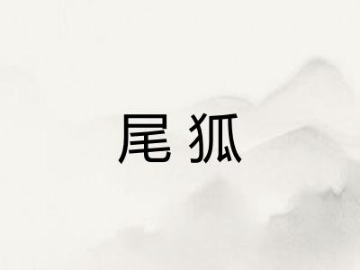 尾狐