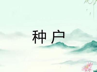 种户