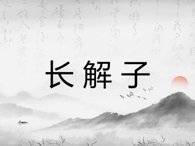 长解子