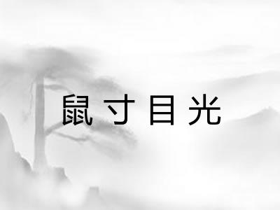 鼠寸目光
