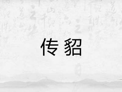 传貂