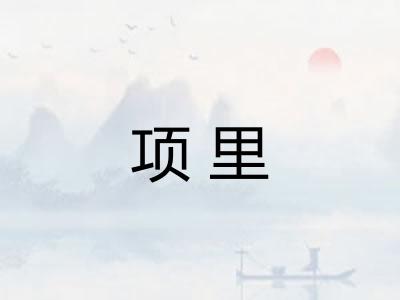 项里