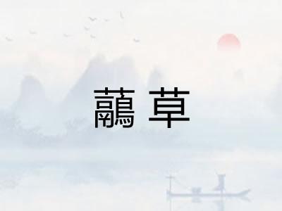 虉草