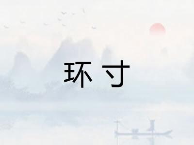 环寸