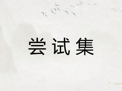 尝试集