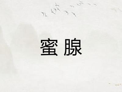 蜜腺