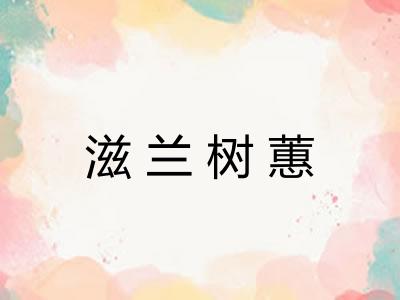 滋兰树蕙