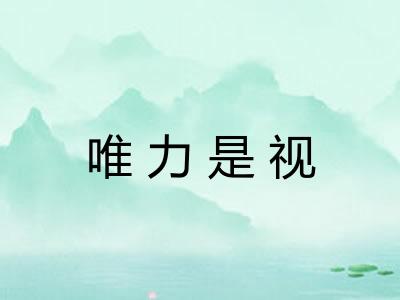 唯力是视