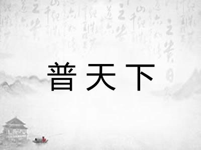普天下