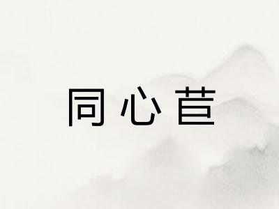 同心苣