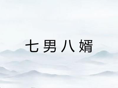 七男八婿