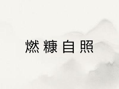 燃糠自照