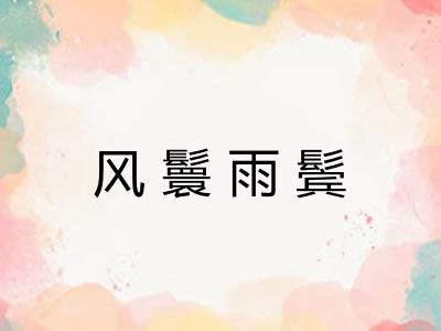 风鬟雨鬓