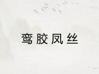 鸾胶凤丝