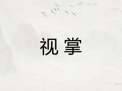 视掌
