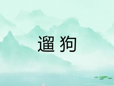 遛狗
