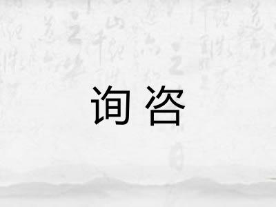 询咨