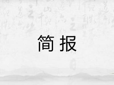 简报