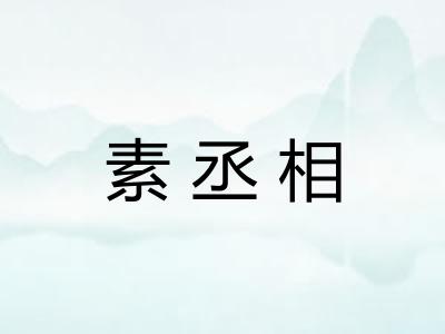 素丞相