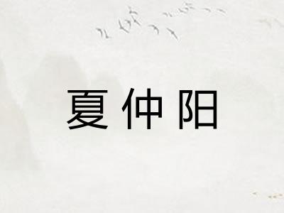 夏仲阳