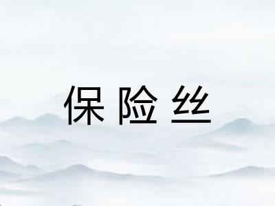 保险丝