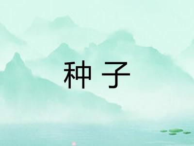 种子