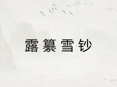 露纂雪钞