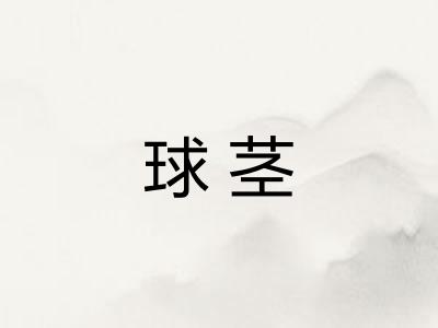 球茎