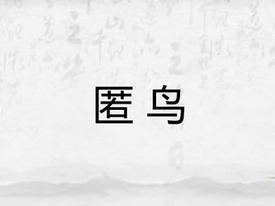 匿鸟