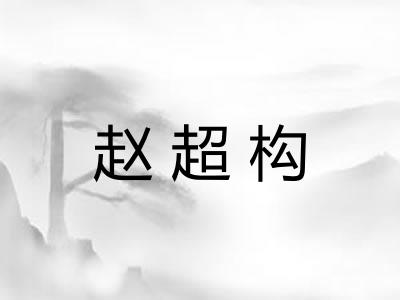 赵超构