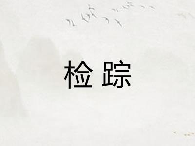 检踪