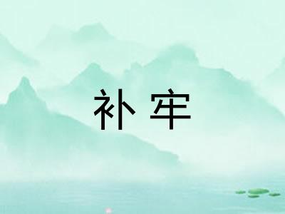 补牢