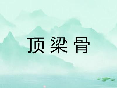 顶梁骨