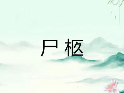 尸柩