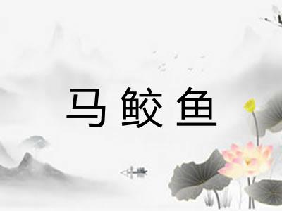 马鲛鱼