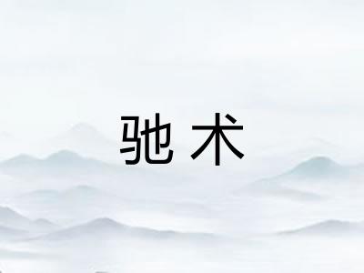 驰术