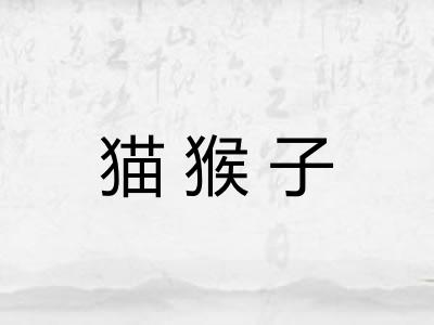 猫猴子