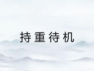 持重待机