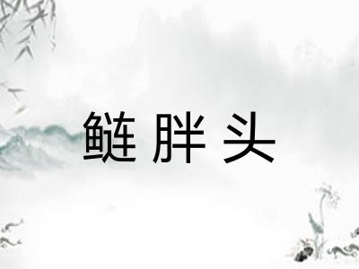 鲢胖头