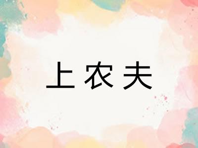 上农夫