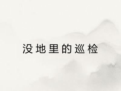 没地里的巡检