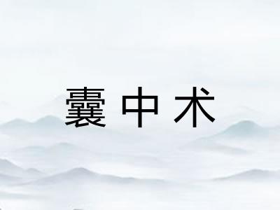 囊中术