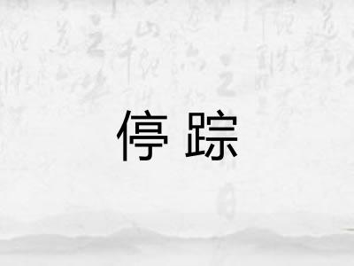 停踪